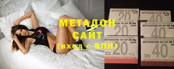 индика Ельня