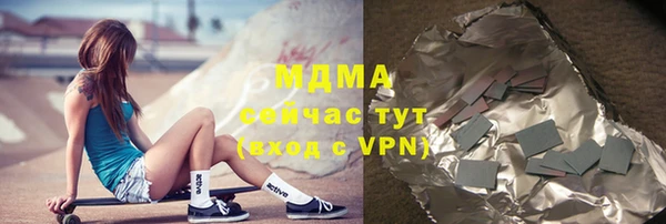индика Ельня