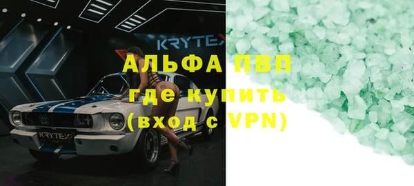 индика Ельня