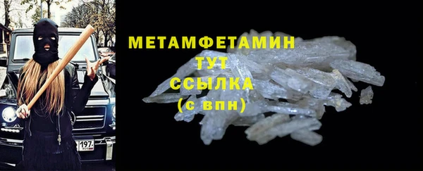 индика Ельня