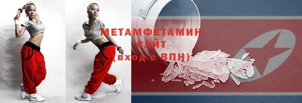 индика Ельня