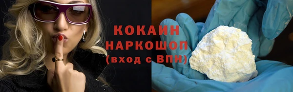 индика Ельня