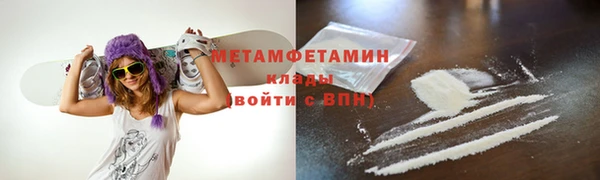индика Ельня