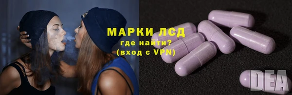 индика Ельня