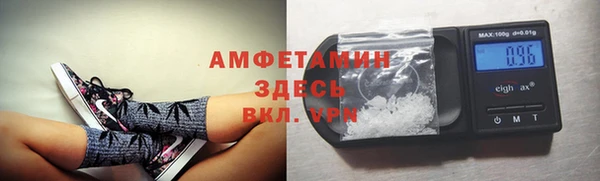 крисы Елабуга