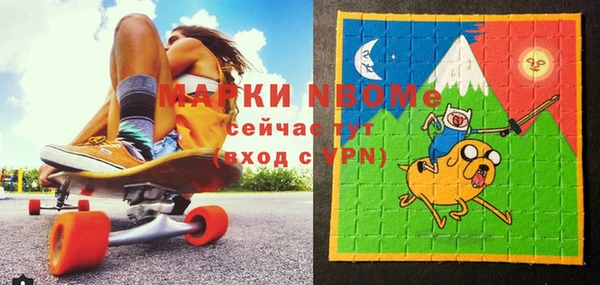 индика Ельня