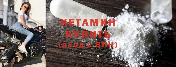 индика Ельня