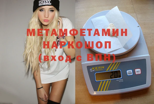 индика Ельня