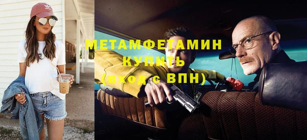 индика Ельня