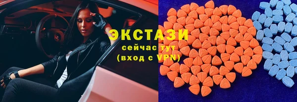 крисы Елабуга