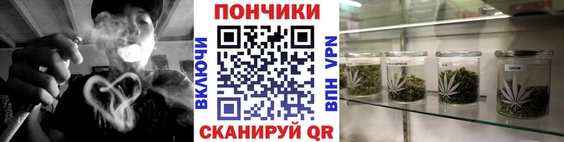 Канабис индика  Заполярный 